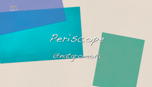 Оформляла с увлеченем... Мой Periscope